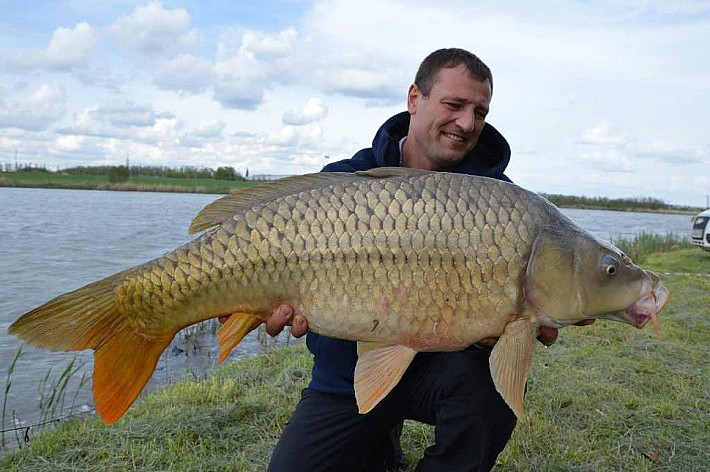 Карпфишинг017