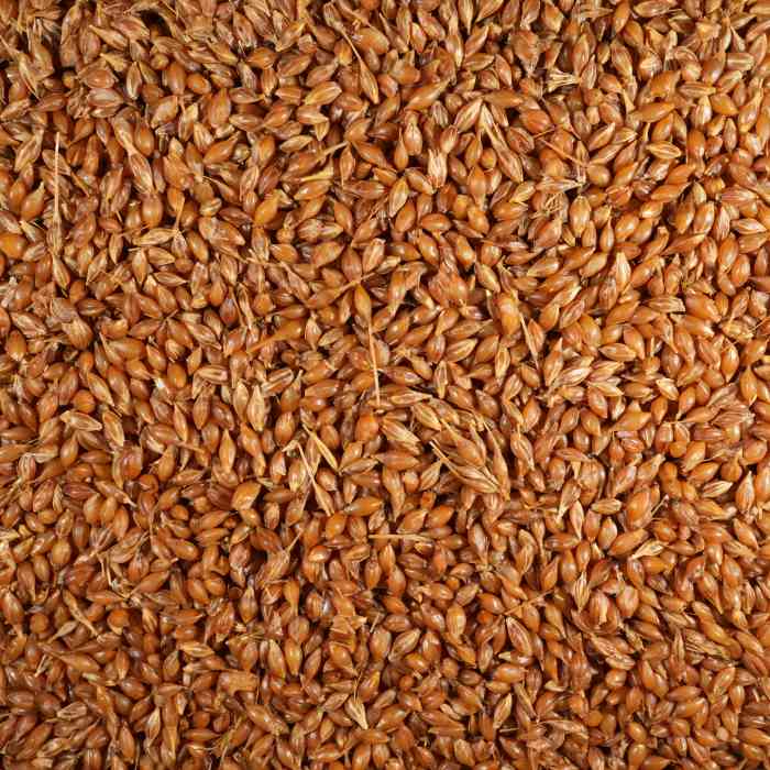 Зерновая смесь MINENKO Wild Wheat (4кг) Дикая пшеница